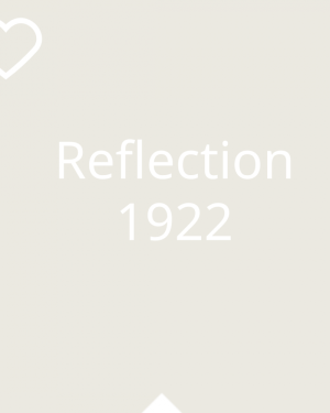 فينوماستيك ربع لمعة بيتي ناعم حريري سلك